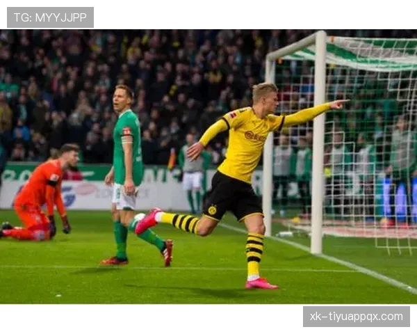 哈兰德射门分布与转化率解析：是否接近完美终结模型